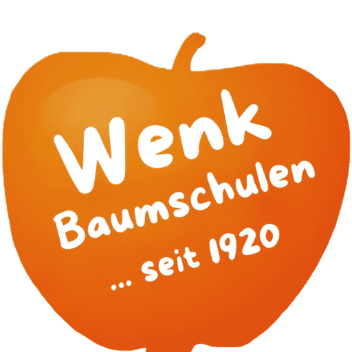 Dietmar Wenk